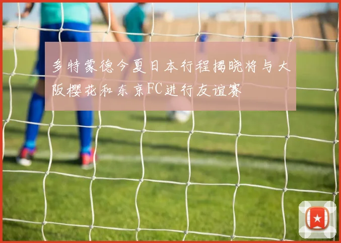 多特蒙德今夏日本行程揭晓将与大阪樱花和东京FC进行友谊赛
