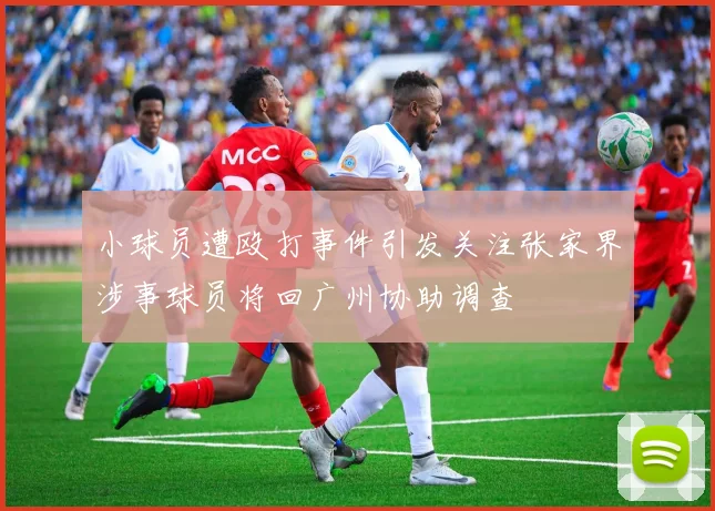 小球员遭殴打事件引发关注张家界涉事球员将回广州协助调查
