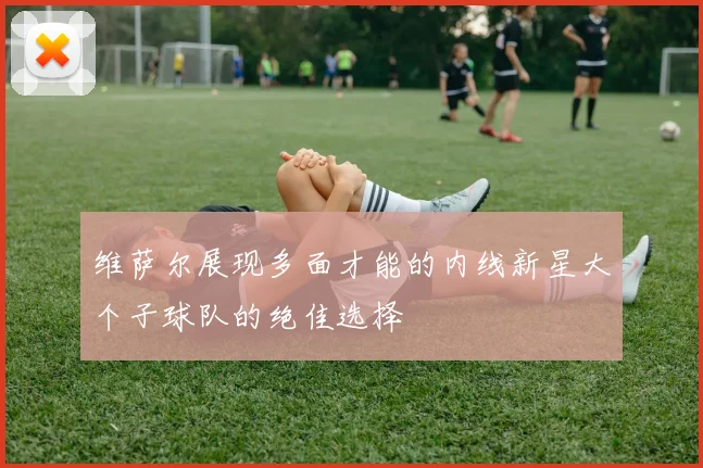 维萨尔展现多面才能的内线新星大个子球队的绝佳选择